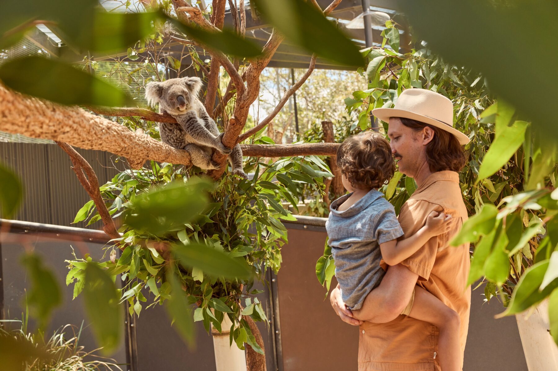 Family enjoying a koala encounter at Taronga Zoo, Mosman in Sydney